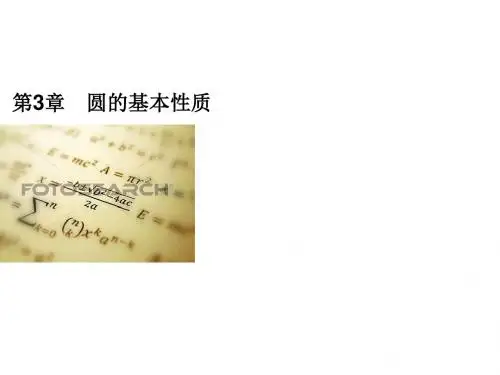 浙教版九年级数学上册习题课件：课时训练 专题训练(四) 圆周角定理的综合运用(共20张PPT)