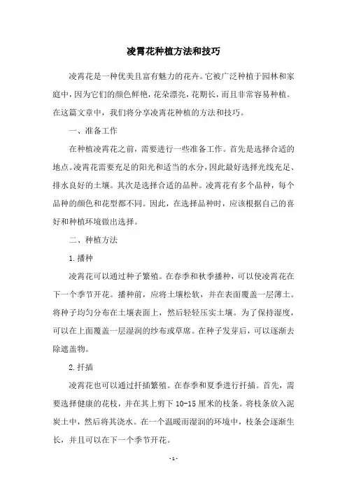 凌霄花种植方法和技巧