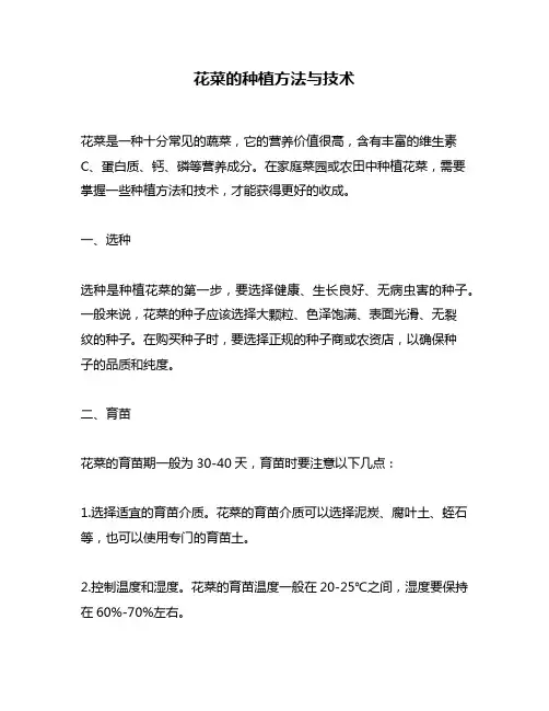 花菜的种植方法与技术
