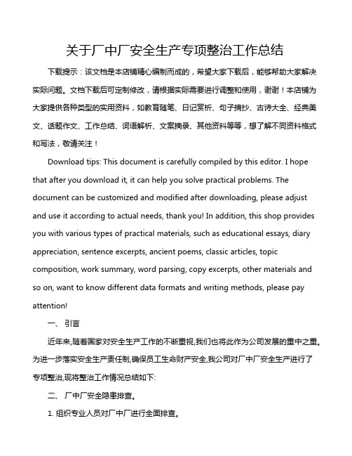 关于厂中厂安全生产专项整治工作总结