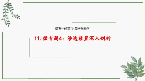 第12讲 微专题 渗透装置深入剖析-高考一轮复习课件(新教材新高考)