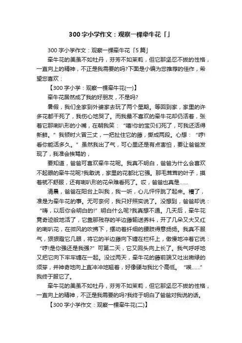 300字小学作文：观察一棵牵牛花「5篇」