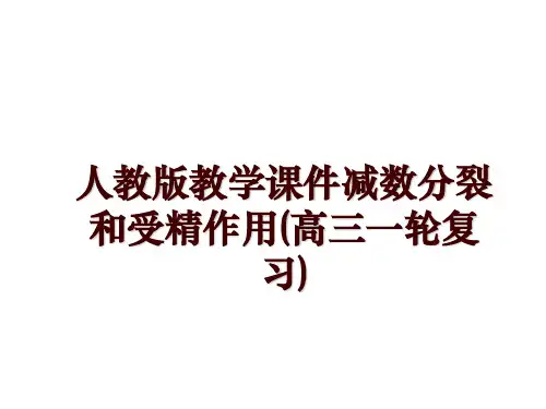 人教版教学课件减数分裂和受精作用(高三一轮复习)
