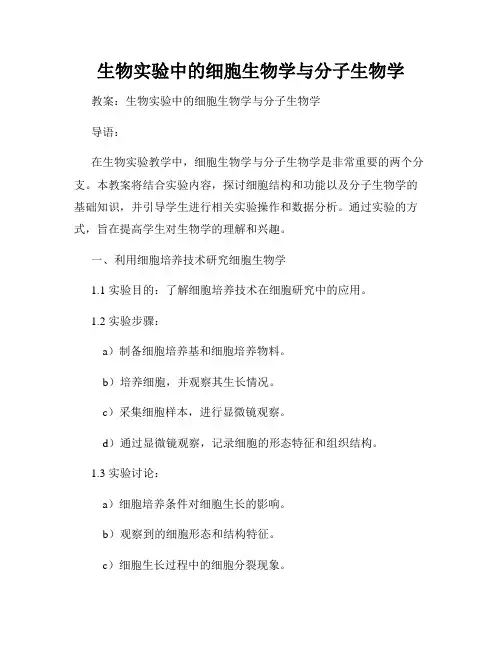 生物实验中的细胞生物学与分子生物学