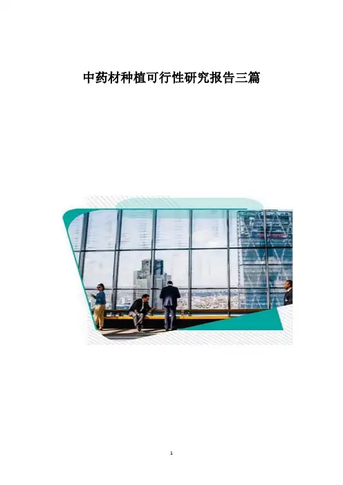 中药材种植可行性研究报告三篇