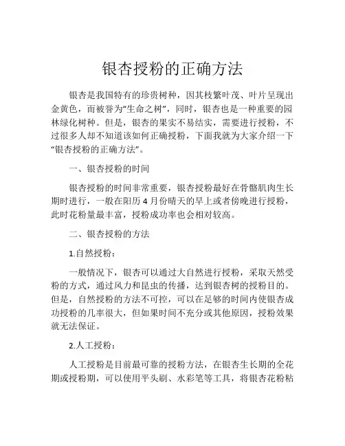 银杏授粉的正确方法