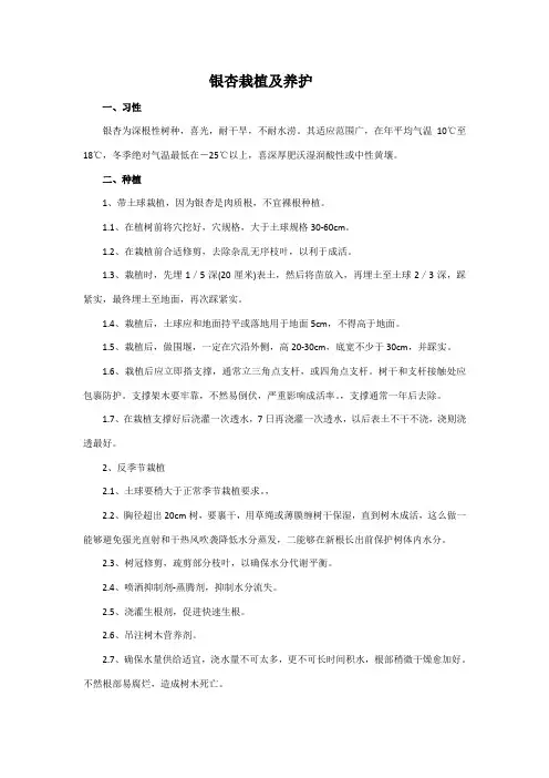 银杏的栽培及养护技术