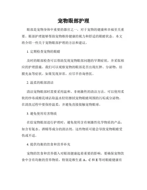 宠物眼部护理