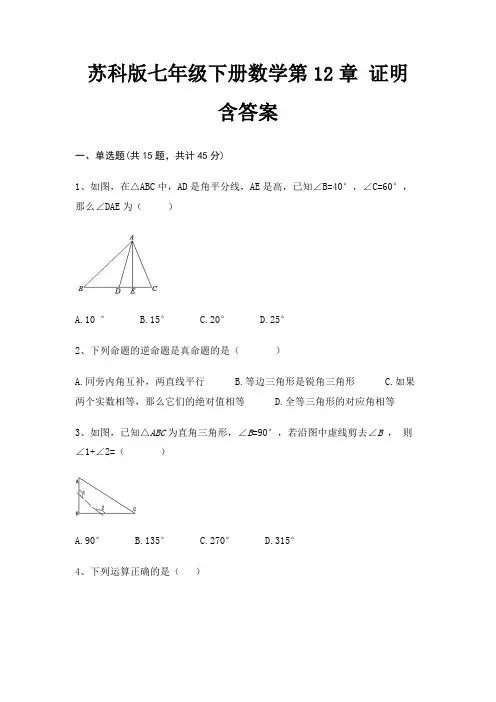 苏科版七年级下册数学第12章 证明 含答案 2