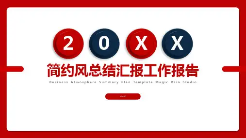 简约微粒体总结汇报PPT模板