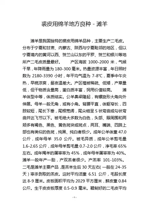 裘皮用绵羊地方良种-滩羊