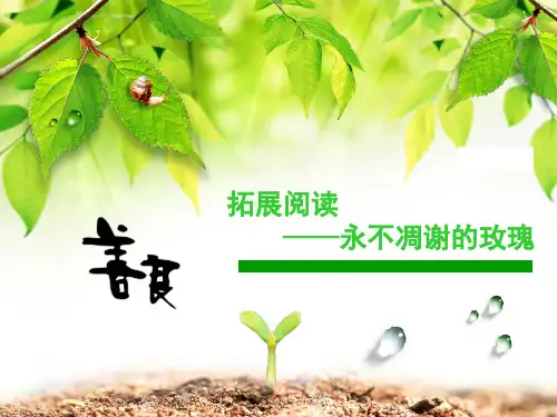 四年级下册语文课外扩展课件阅读 永不凋谢的玫瑰人教部编版ppt精美课件