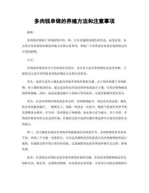多肉钱串锦的养殖方法和注意事项