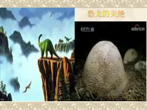 苏教版科学六年级下《消失了的恐龙》PPT课件9