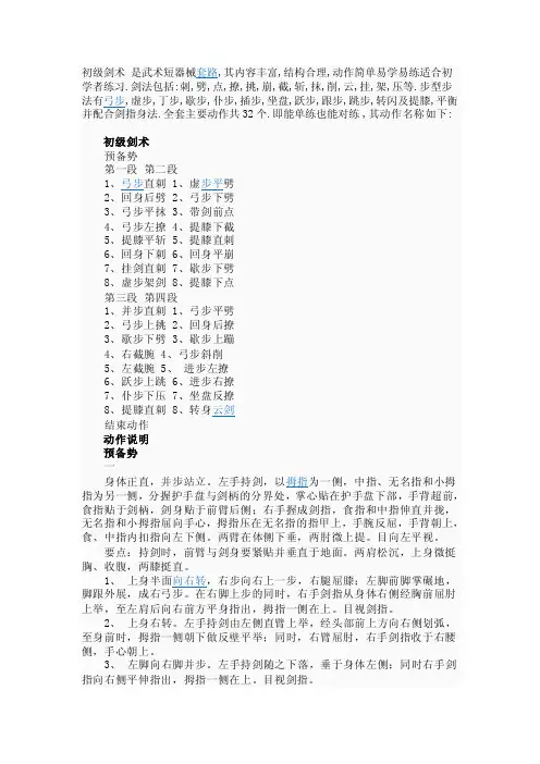 初级剑套路——精选推荐