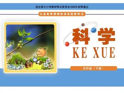 我们在成长
