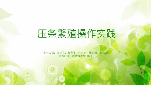 植物繁殖方式之压条