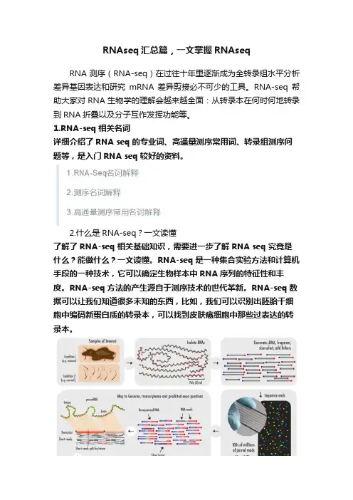 RNAseq汇总篇，一文掌握RNAseq