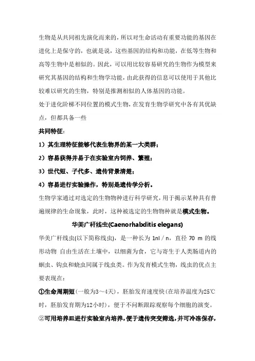 模式生物