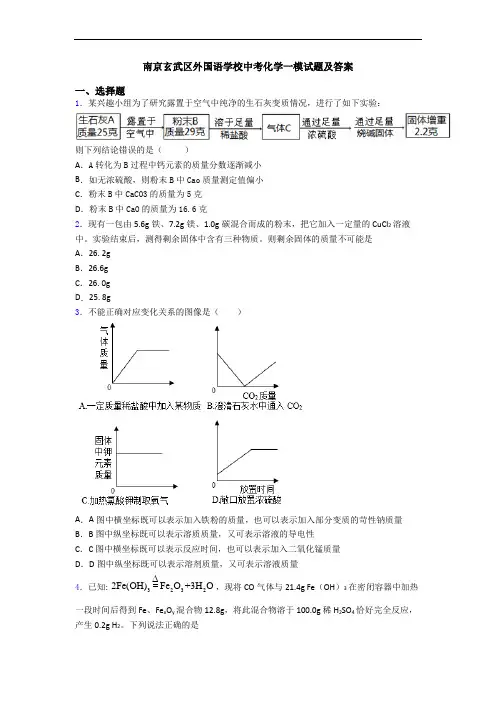 南京玄武区外国语学校中考化学一模试题及答案