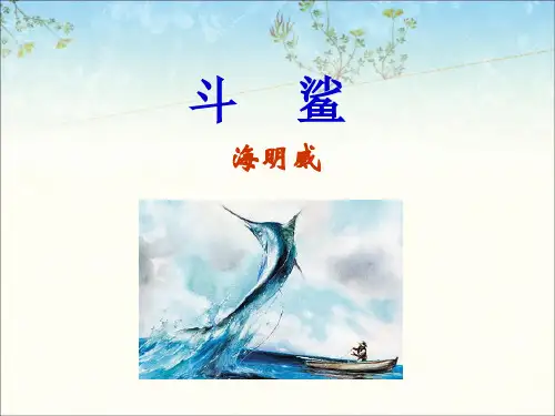 《斗鲨》课件