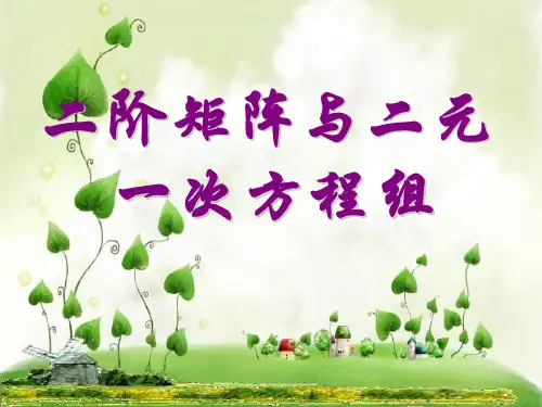 二阶矩阵和二元一次方程组PPT课件