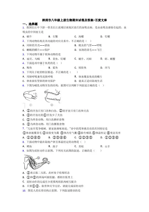深圳市八年级上册生物期末试卷及答案-百度文库