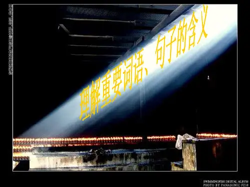 09理解词语句子含义1