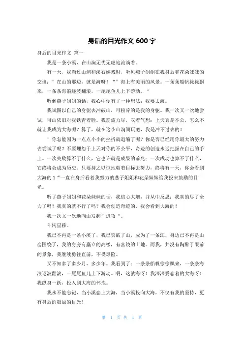 身后的目光作文600字
