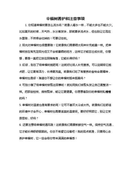 辛福树养护和注意事项