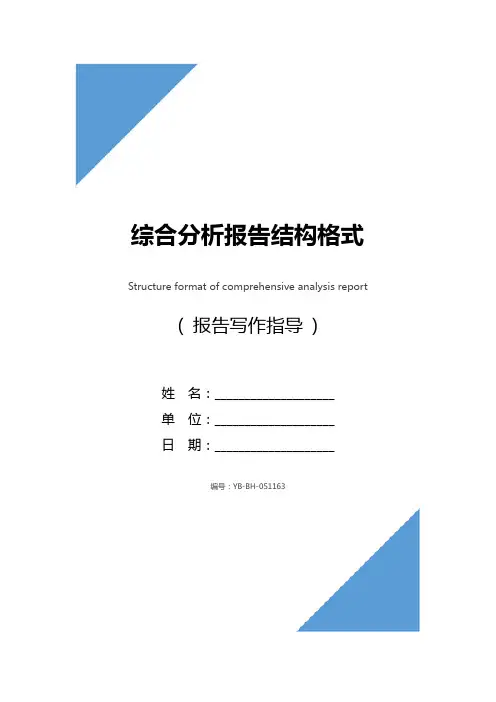 综合分析报告结构格式