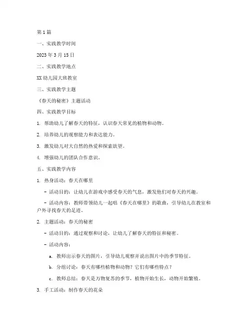 幼师实践教学指导记录(3篇)
