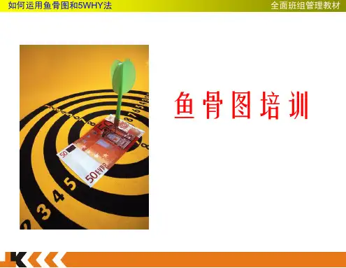 鱼骨图培训教材.pptx