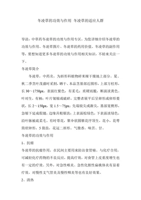 冬凌草的功效与作用 冬凌草的适应人群