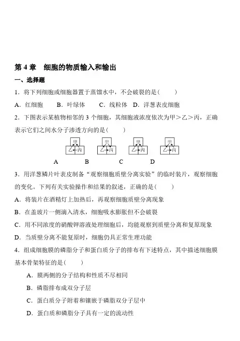 高中生物必修一第四章练习及答案
