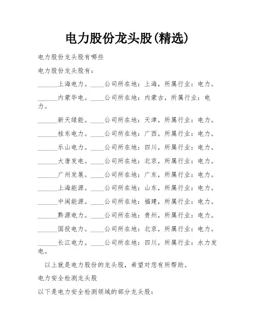 电力股份龙头股(精选)