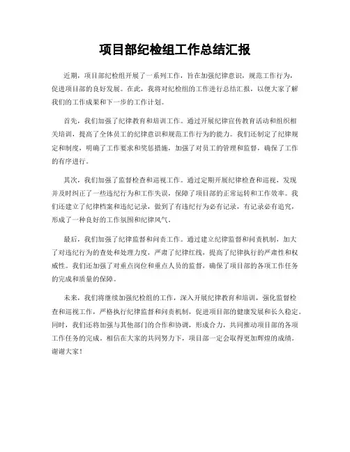 项目部纪检组工作总结汇报
