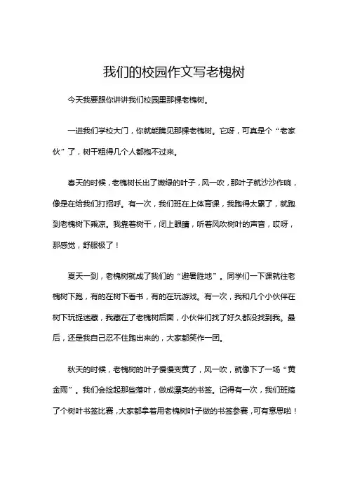 我们的校园作文写老槐树