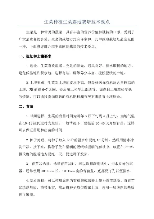 生菜种植生菜露地栽培技术要点