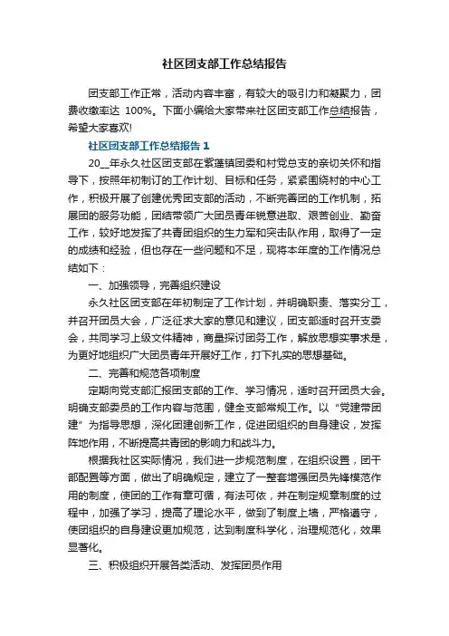 社区团支部工作总结报告