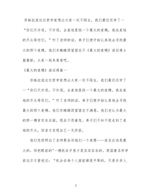 《最大的麦穗》读后感5篇最新