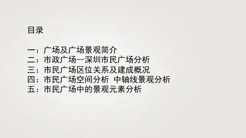 深圳市民广场景观分析  ppt课件
