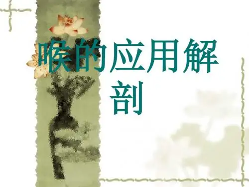 喉解剖及临床