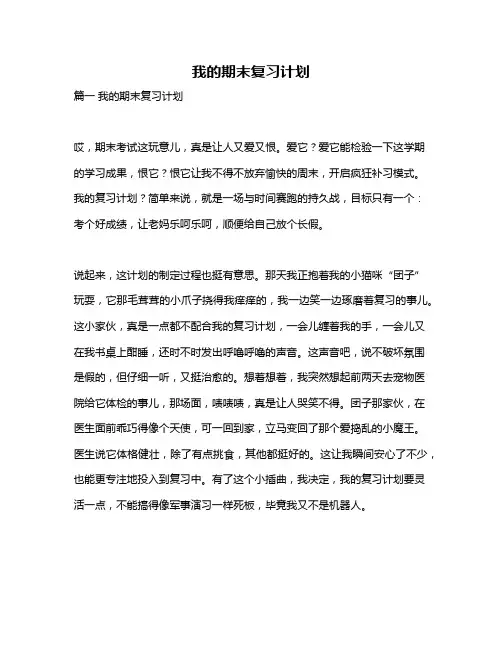 作文《我的期末复习计划》