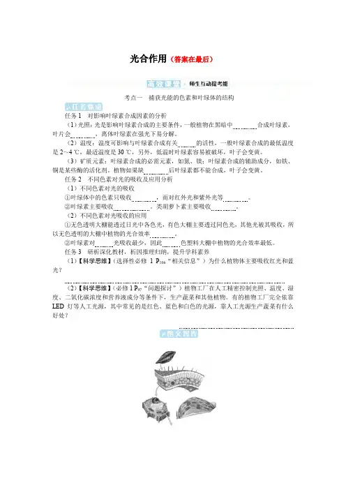 2025届高中生物高考复习学案：光合作用