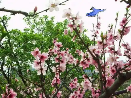 部编版一年级上册《四季》ppt课件