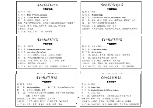 中药材标签饮片排参考模板