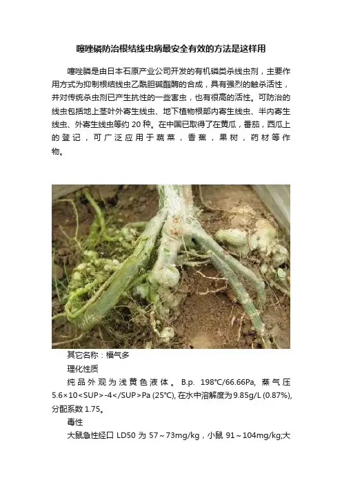 噻唑磷防治根结线虫病最安全有效的方法是这样用