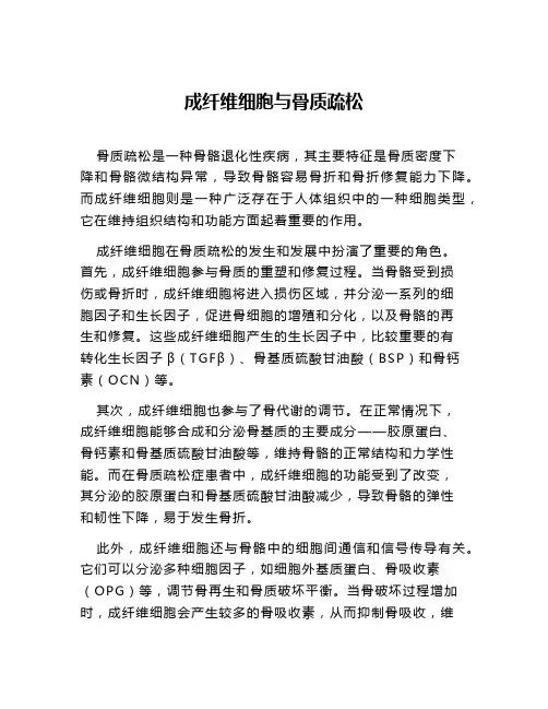成纤维细胞与骨质疏松