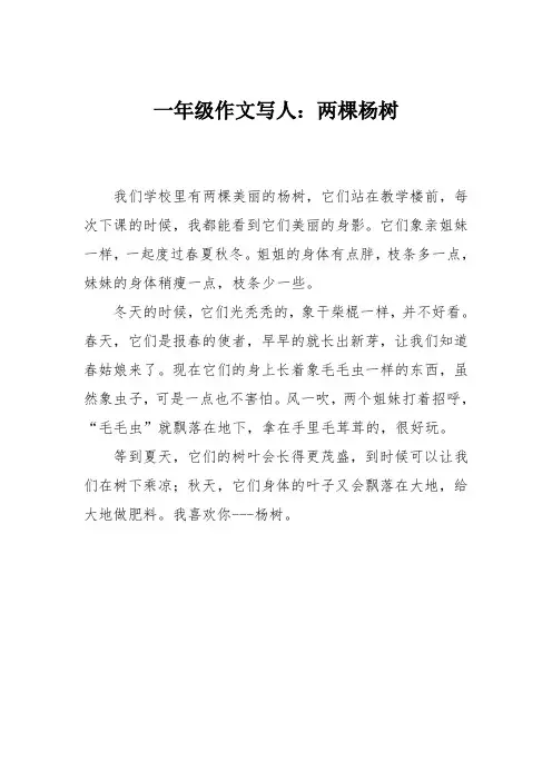 一年级作文写人：两棵杨树